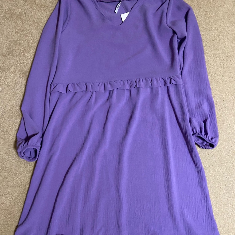 NWT long sleeve vneck dress